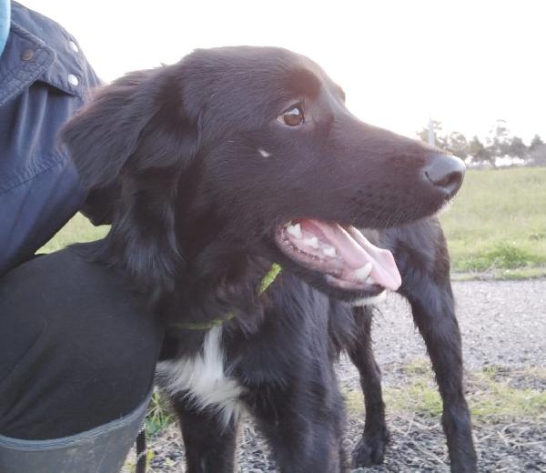 Una Casa Per Axel, Splendido Cucciolotto